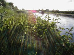 Trent and mersey canal, Alrewas, Staffordshire. Wallpaper