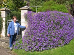 Bisley, Gloucestershire, Cotswolds. Wallpaper