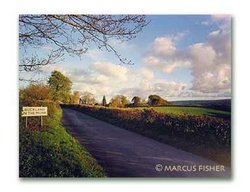 Buckland-in-the-Moor, Dartmoor, County devon, England