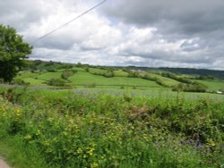 Devon countryside from the country lanes near Dalwood, Devon Wallpaper