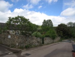 Dalwood, Devon. Wallpaper