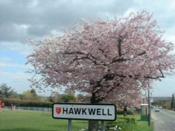 Springtime, Hawkwell Common, Essex