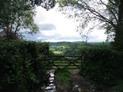 near the village of Dalwood, Devon. Wallpaper