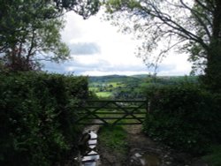 near the village of Dalwood, Devon.