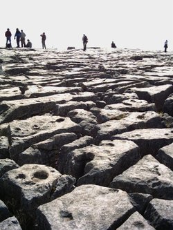 Limestone Pavement, Malham Cove, Malham, North Yorkshire