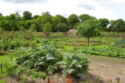 The walled kitchen garden at Clumber Country Park, Nottinghamshire (National Trust). Wallpaper