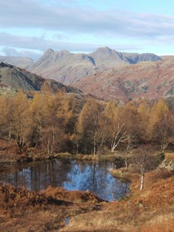 View of the Langdale Pikes from Holme Fell, north of Coniston.