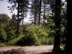 Hartshill Hayes Country Park, Nr Atherstone, North Warwickshire. Wallpaper