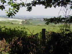 Hartshill Hayes Country Park, Nr Atherstone, North Warwickshire. Wallpaper
