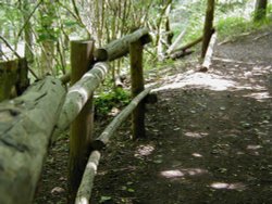 Hartshill Hayes Country Park, Nr Atherstone, North Warwickshire. Wallpaper