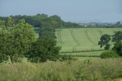 A picture of Cutnall Green Wallpaper