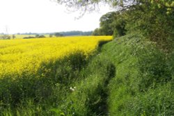 A picture of Cutnall Green Wallpaper