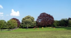 Cutnall Green park in Summer Wallpaper