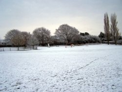Cutnall Green park in Winter Wallpaper