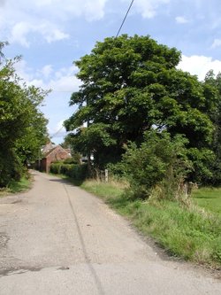 Entrance Road into Goodnestone Hall. Kent.