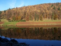 Ladybower in winter; perfect conditions, frosty and sunny with no wind. Wallpaper