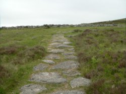 Ancient path leading to Grimspound Bronze Age village on Dartmoor Wallpaper