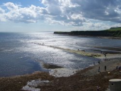Kimmeridge Ledges in May. Kimmeridge, Dorset Wallpaper