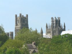 Ely Cathedral from the river Cam Wallpaper