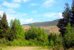 Walking trail in the College valley, Cheviot hills, Northumberland.