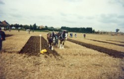 Ploughing Match at Brooksby College, Leicestershire