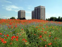 Quarry Green. Kirkby, Merseyside