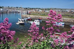 Newlyn in Cornwall