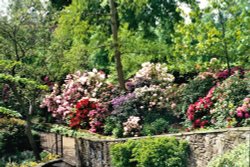 Shrewsbury - Dingle Gardens