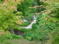 Wakehurst Place Wallpaper