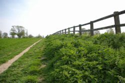 Audley End Park, Saffron Walden, Essex Wallpaper
