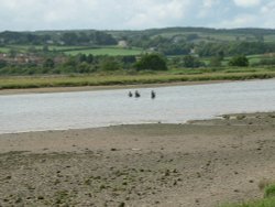 Fishing in the river Axe at Axmouth, Devon Wallpaper