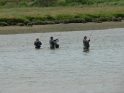Another pic of the fishermen in the River Axe, Axmouth Wallpaper