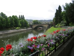Avon River at Bath Wallpaper