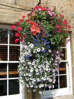 Hanging flower basket Moreton in Marsh, Gloucestershire