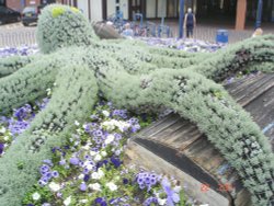 Felixstowe. Octopus at beach.. Wallpaper