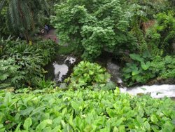 The Waterfall in the Tropical Zone, Eden Project Wallpaper