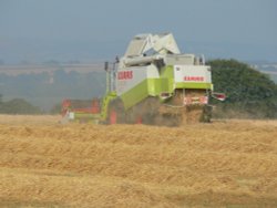 A combine harvesting in rural Somerset Wallpaper