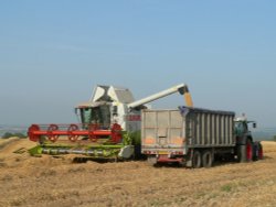 A combine harvesting in rural Somerset Wallpaper