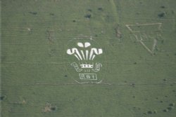 Fovant Badges in Wiltshire. Taken from the air in July 2006