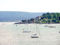 A picture of Brownsea Island Wallpaper