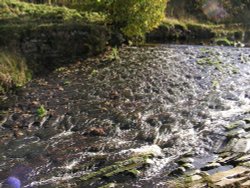 Man-made stream near the lead mines by Allendale. Wallpaper