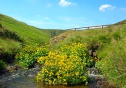 Upper Coquetdale, Northumberland. Wallpaper