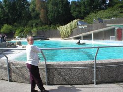 The Sealion Pool, Blackpool Zoo, taken August 2005