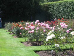 Anglesey Abbey, Near Cambridge Wallpaper