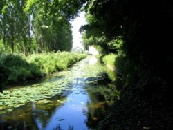 Anglesea Abbey, Near Cambridge. 
The river near Lode Mill Wallpaper