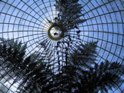 The Grotto, Swiss Garden, Old Warden, Bedfordshire Wallpaper