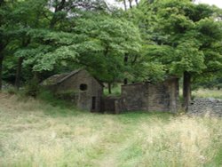 A picture of Tockholes