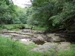 The River through the Woods, Tockholes, Lancashire. Wallpaper