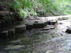 The River through the Woods, Tockholes, Lancashire. Wallpaper