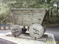 A picture of Causey